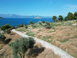 Οικόπεδο 7.315 τ.μ. για πώληση, Εύβοια, Ανθηδώνος-thumb-5