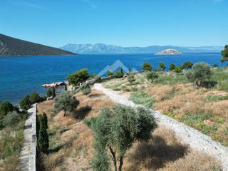 Οικόπεδο 7.315 τ.μ. για πώληση, Εύβοια, Ανθηδώνος-thumb-6