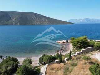 Οικόπεδο 7.315 τ.μ. για πώληση, Εύβοια, Ανθηδώνος-thumb-7