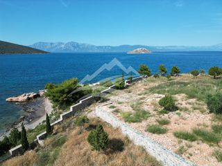 Οικόπεδο 7.315 τ.μ. για πώληση, Εύβοια, Ανθηδώνος-thumb-8