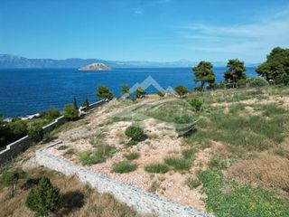 Οικόπεδο 7.315 τ.μ. για πώληση, Εύβοια, Ανθηδώνος-thumb-9