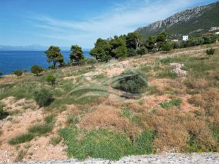 Οικόπεδο 7.315 τ.μ. για πώληση, Εύβοια, Ανθηδώνος-thumb-10