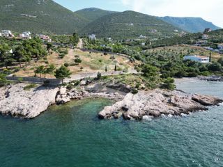 Οικόπεδο 7.315 τ.μ. για πώληση, Εύβοια, Ανθηδώνος-thumb-13
