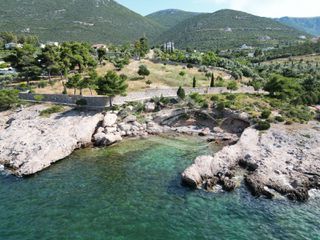Οικόπεδο 7.315 τ.μ. για πώληση, Εύβοια, Ανθηδώνος-thumb-14