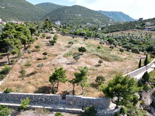 Οικόπεδο 7.315 τ.μ. για πώληση, Εύβοια, Ανθηδώνος-thumb-16
