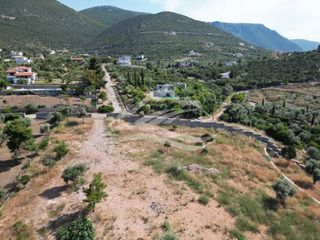 Οικόπεδο 7.315 τ.μ. για πώληση, Εύβοια, Ανθηδώνος-thumb-17