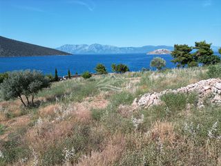 Οικόπεδο 7.315 τ.μ. για πώληση, Εύβοια, Ανθηδώνος-thumb-18