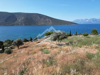 Οικόπεδο 7.315 τ.μ. για πώληση, Εύβοια, Ανθηδώνος-thumb-19