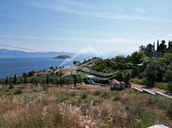Οικόπεδο 7.071 τ.μ. για πώληση, Εύβοια, Ανθηδώνος
