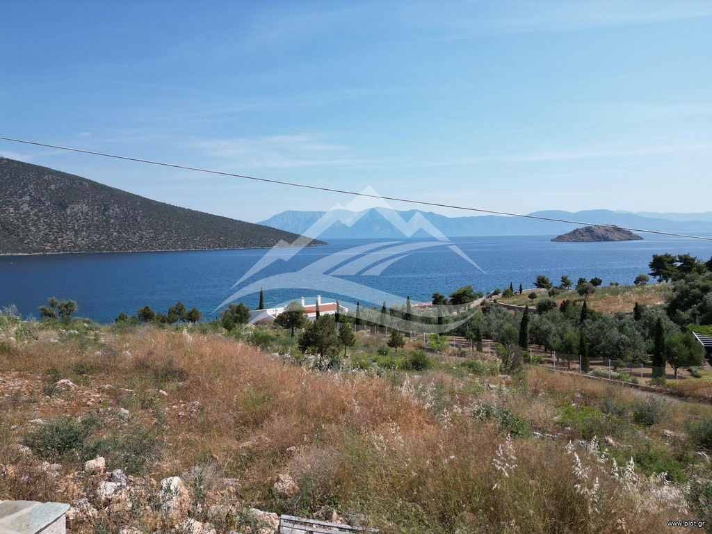 Οικόπεδο 7.071 τ.μ. πρός πώληση, Εύβοια, Ανθηδώνος