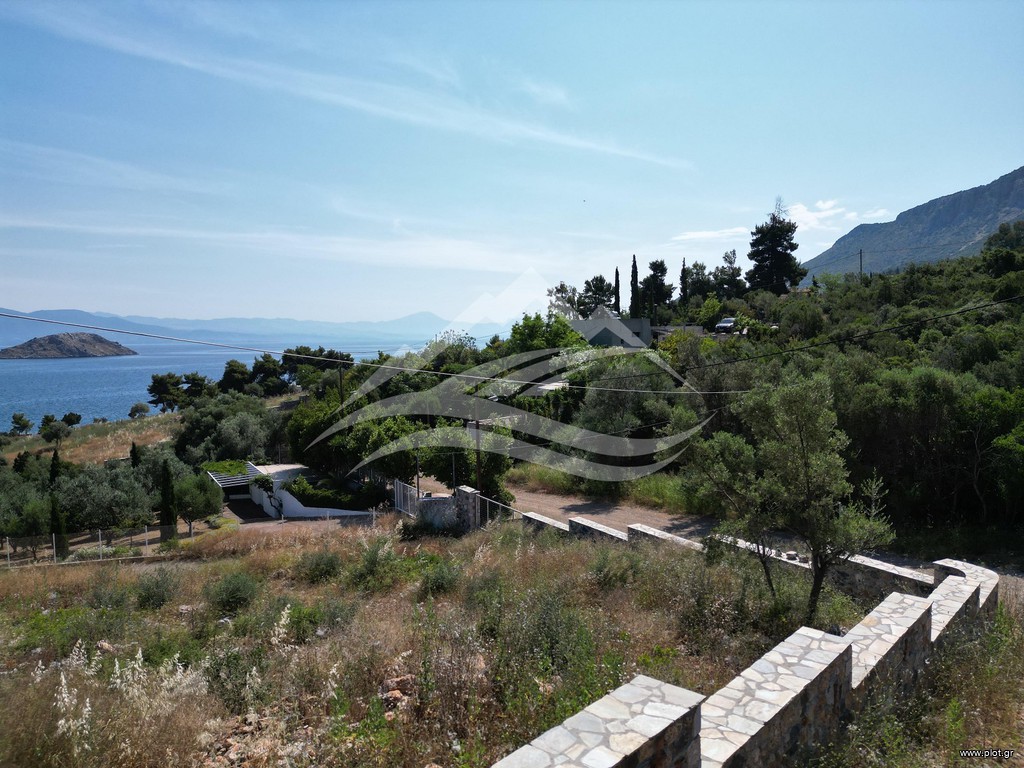 Οικόπεδο 7.071 τ.μ. πρός πώληση, Εύβοια, Ανθηδώνος