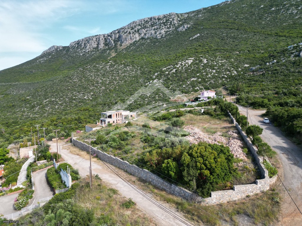 Οικόπεδο 5.734 τ.μ. πρός πώληση, Εύβοια, Ανθηδώνος
