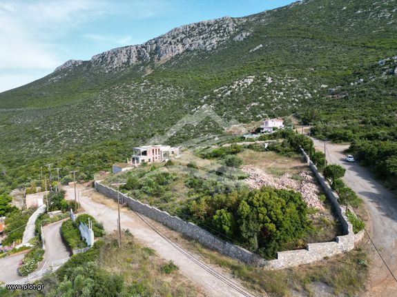 Οικόπεδο 5.734 τ.μ. για πώληση, Εύβοια, Ανθηδώνος