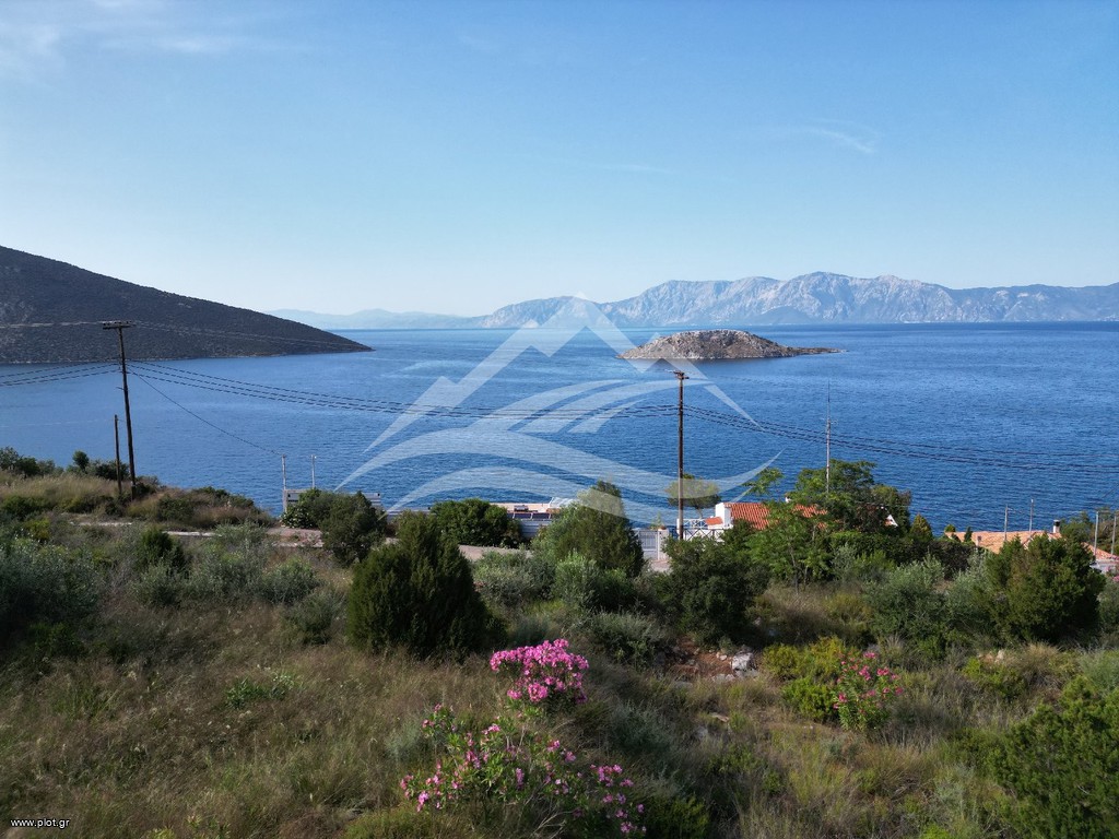 Οικόπεδο 5.734 τ.μ. πρός πώληση, Εύβοια, Ανθηδώνος