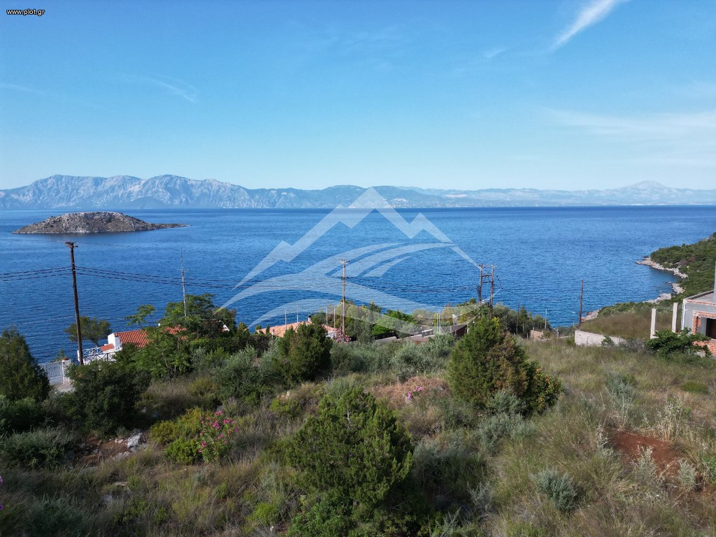 Οικόπεδο 5.734 τ.μ. πρός πώληση, Εύβοια, Ανθηδώνος