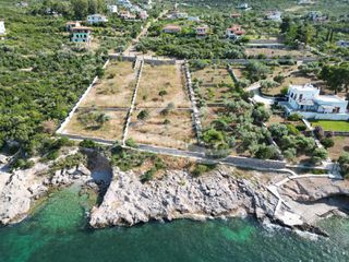 Οικόπεδο 2.015 τ.μ. για πώληση, Εύβοια, Ανθηδώνος-thumb-4