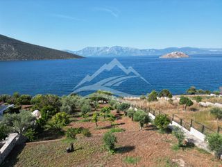 Οικόπεδο 2.015 τ.μ. για πώληση, Εύβοια, Ανθηδώνος-thumb-6