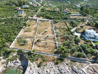 Οικόπεδο 2.015 τ.μ. για πώληση, Εύβοια, Ανθηδώνος-thumb-12