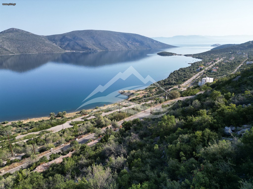 Οικόπεδο 3.214 τ.μ. πρός πώληση, Εύβοια, Ανθηδώνος