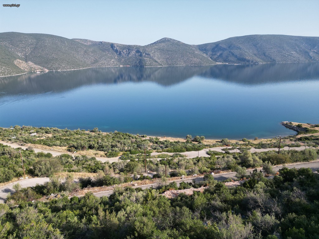 Οικόπεδο 3.214 τ.μ. πρός πώληση, Εύβοια, Ανθηδώνος