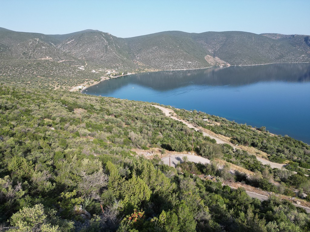 Οικόπεδο 3.214 τ.μ. πρός πώληση, Εύβοια, Ανθηδώνος