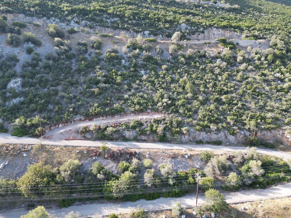 Οικόπεδο 3.214 τ.μ. πρός πώληση, Εύβοια, Ανθηδώνος