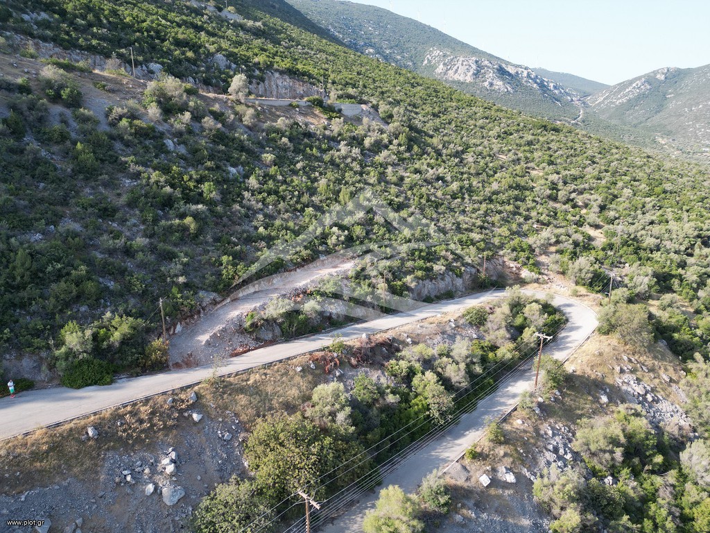 Οικόπεδο 3.214 τ.μ. πρός πώληση, Εύβοια, Ανθηδώνος