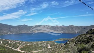 Οικόπεδο 1.046 τ.μ. για πώληση, Εύβοια, Ανθηδώνος-thumb-1