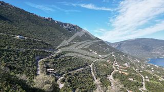 Οικόπεδο 1.046 τ.μ. για πώληση, Εύβοια, Ανθηδώνος-thumb-3