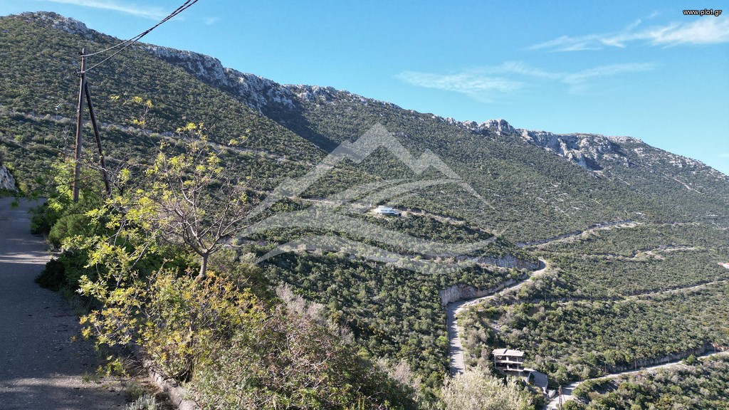 Οικόπεδο 1.046 τ.μ. πρός πώληση, Εύβοια, Ανθηδώνος