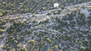 Οικόπεδο 1.046 τ.μ. για πώληση, Εύβοια, Ανθηδώνος-thumb-9
