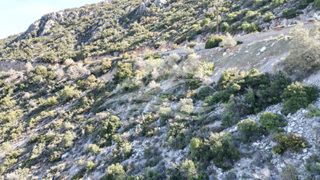 Οικόπεδο 1.046 τ.μ. για πώληση, Εύβοια, Ανθηδώνος-thumb-16
