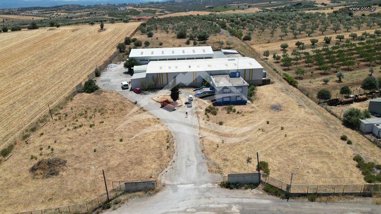 Industrial space 2.830 sqm for sale, Evia, Avlida