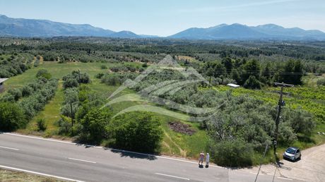 Αγροτεμάχια 2.865τ.μ. για πώληση-Δίρφυς » Καθενοί