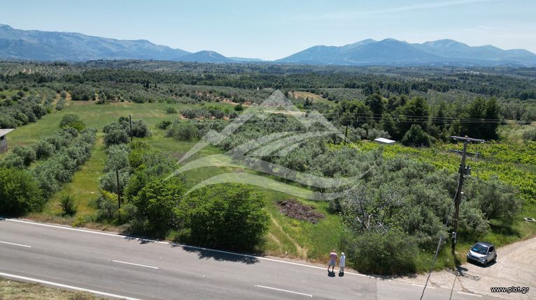 Αγροτεμάχια 2.865 τ.μ. για πώληση, Εύβοια, Δίρφυς
