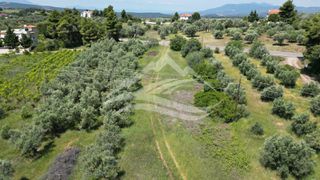 Αγροτεμάχια 2.865 τ.μ. για πώληση, Εύβοια, Δίρφυς-thumb-3