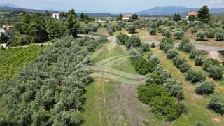 Αγροτεμάχια 2.865 τ.μ. για πώληση, Εύβοια, Δίρφυς-thumb-4