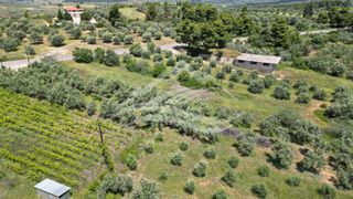 Αγροτεμάχια 2.865 τ.μ. για πώληση, Εύβοια, Δίρφυς-thumb-5