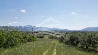 Αγροτεμάχια 2.865 τ.μ. για πώληση, Εύβοια, Δίρφυς-thumb-7