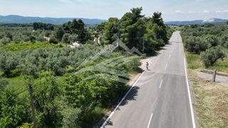 Αγροτεμάχια 2.865 τ.μ. για πώληση, Εύβοια, Δίρφυς-thumb-11