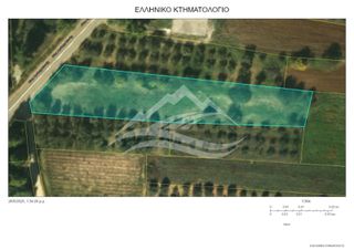Αγροτεμάχια 2.865 τ.μ. για πώληση, Εύβοια, Δίρφυς-thumb-12