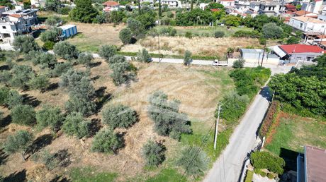 Οικόπεδο 1.326τ.μ. για πώληση-Ληλάντιο » Αφράτι