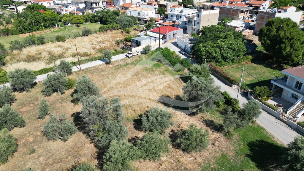 Οικόπεδο 1.326 τ.μ. πρός πώληση, Εύβοια, Ληλάντιο