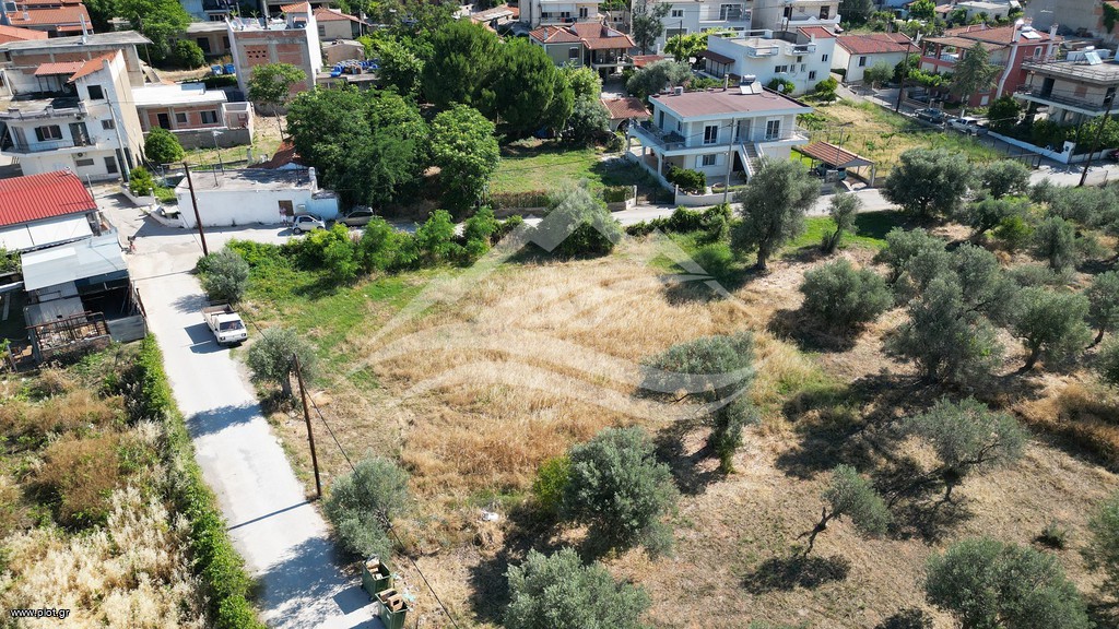 Οικόπεδο 1.326 τ.μ. πρός πώληση, Εύβοια, Ληλάντιο