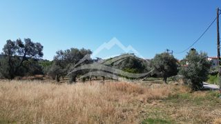 Οικόπεδο 1.326 τ.μ. για πώληση, Εύβοια, Ληλάντιο-thumb-6