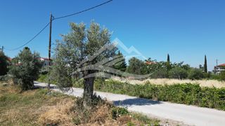 Οικόπεδο 1.326 τ.μ. για πώληση, Εύβοια, Ληλάντιο-thumb-8
