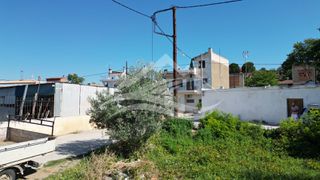 Οικόπεδο 1.326 τ.μ. για πώληση, Εύβοια, Ληλάντιο-thumb-9