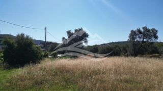 Οικόπεδο 1.326 τ.μ. για πώληση, Εύβοια, Ληλάντιο-thumb-11