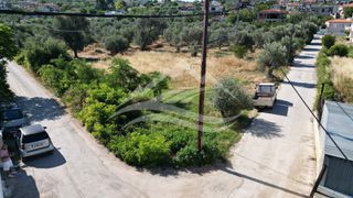 Οικόπεδο 1.326 τ.μ. για πώληση, Εύβοια, Ληλάντιο-thumb-12