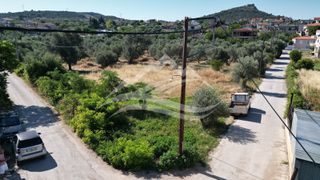 Οικόπεδο 1.326 τ.μ. για πώληση, Εύβοια, Ληλάντιο-thumb-13